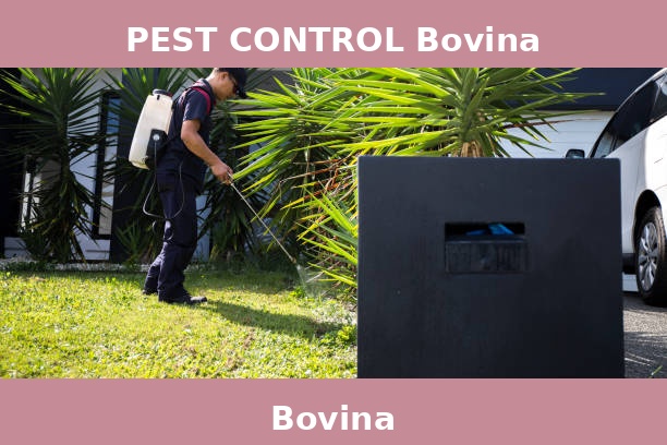 PEST CONTROL Bovina